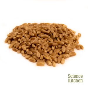 Foraging wheat-grains