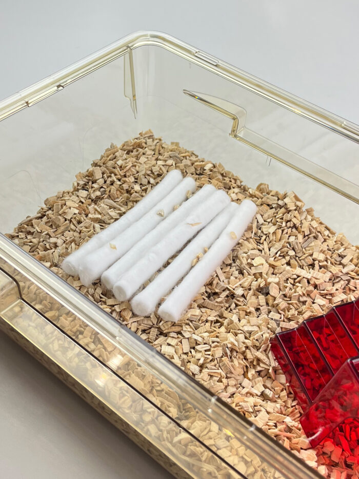 Soft Sticks - Image 5